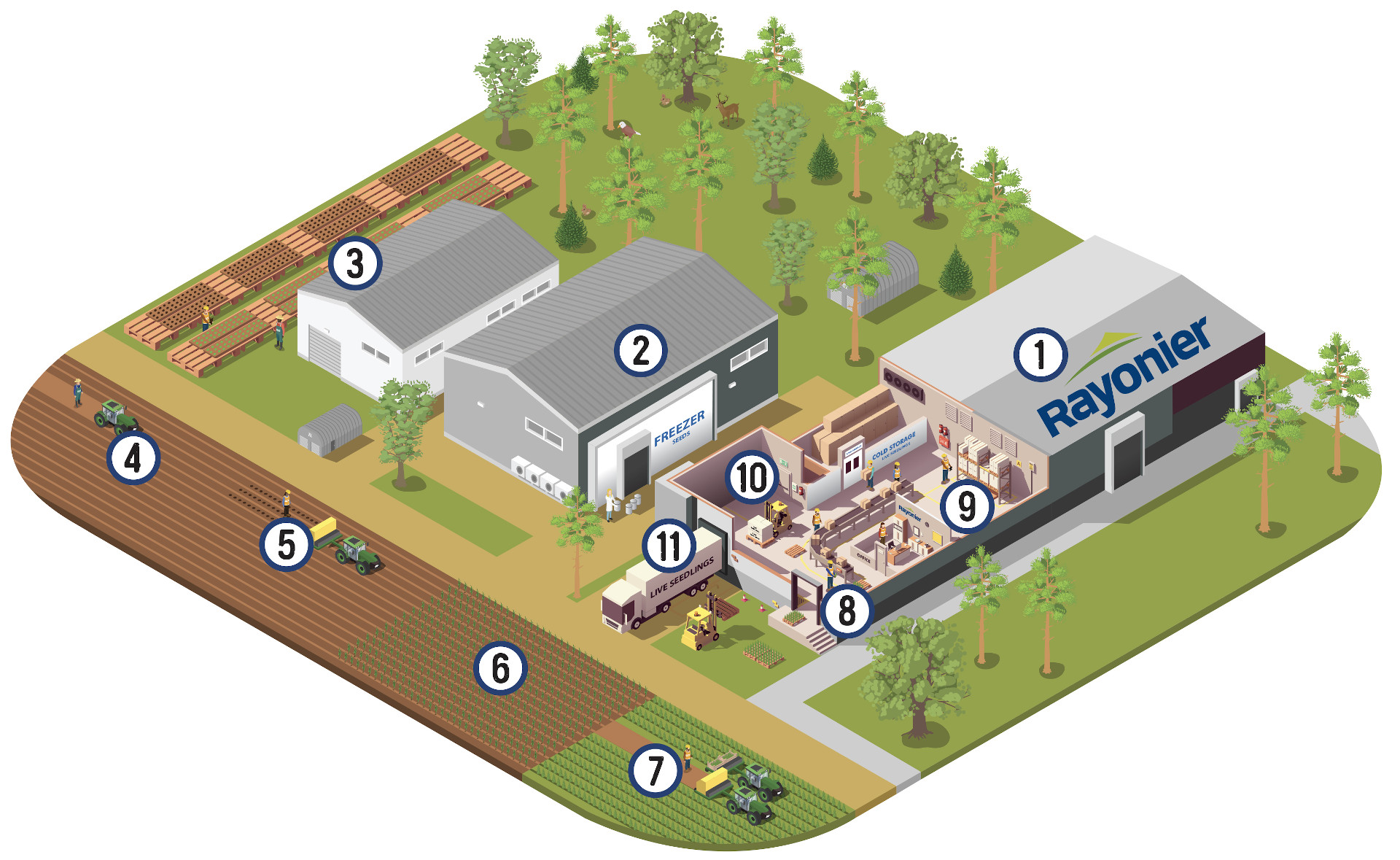 tour our seedling nursery