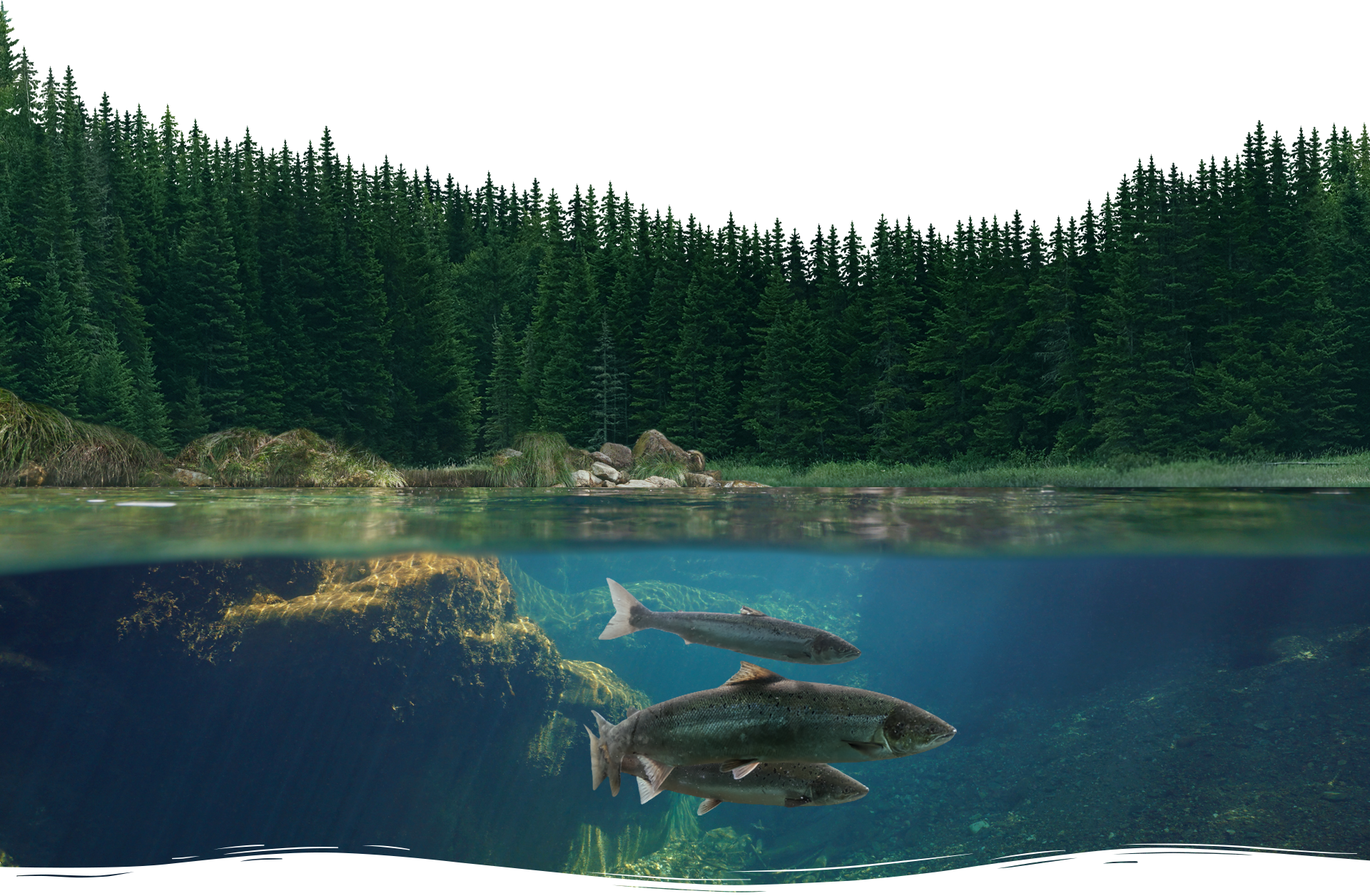 Foreground hero image